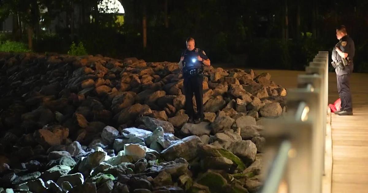 Apparently human remains found in Brooklyn Bridge Park