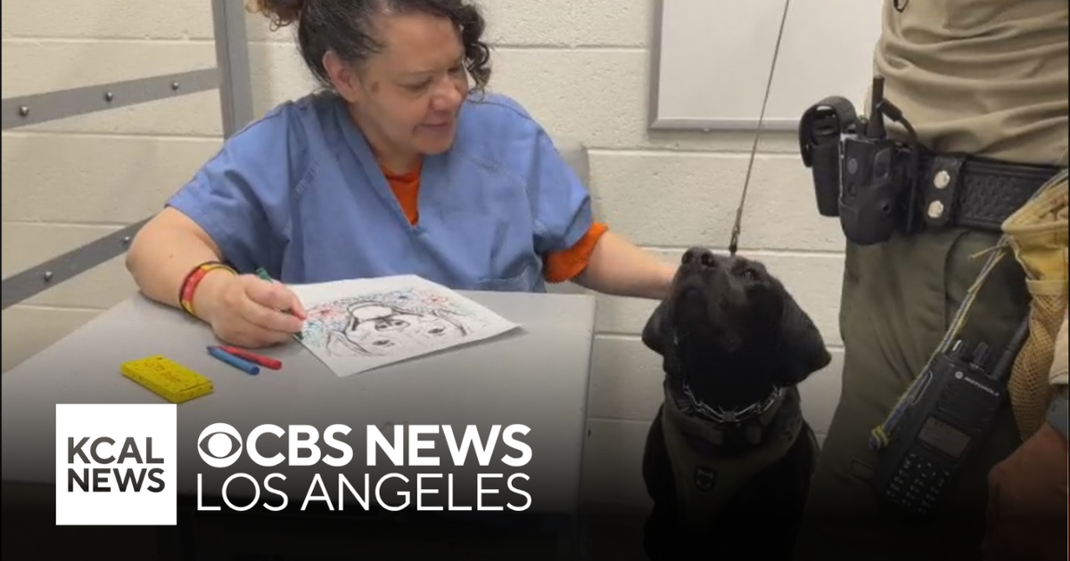 Ventura County deputies bring in therapy dogs to help calm inmates ...