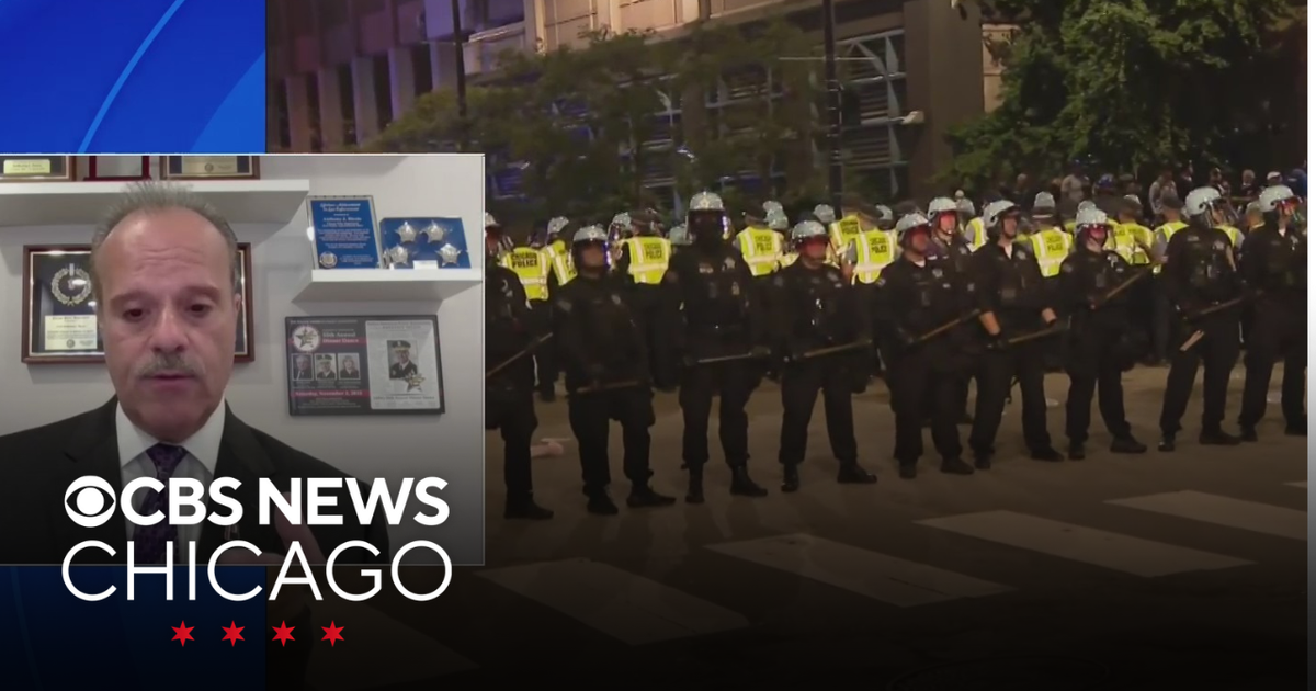 More protests planned for Day 3 of DNC - CBS Chicago