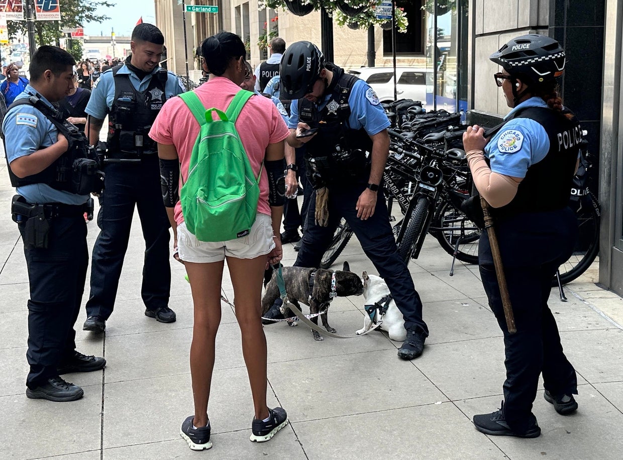 DNC reaches conclusion with further protests in Chicago