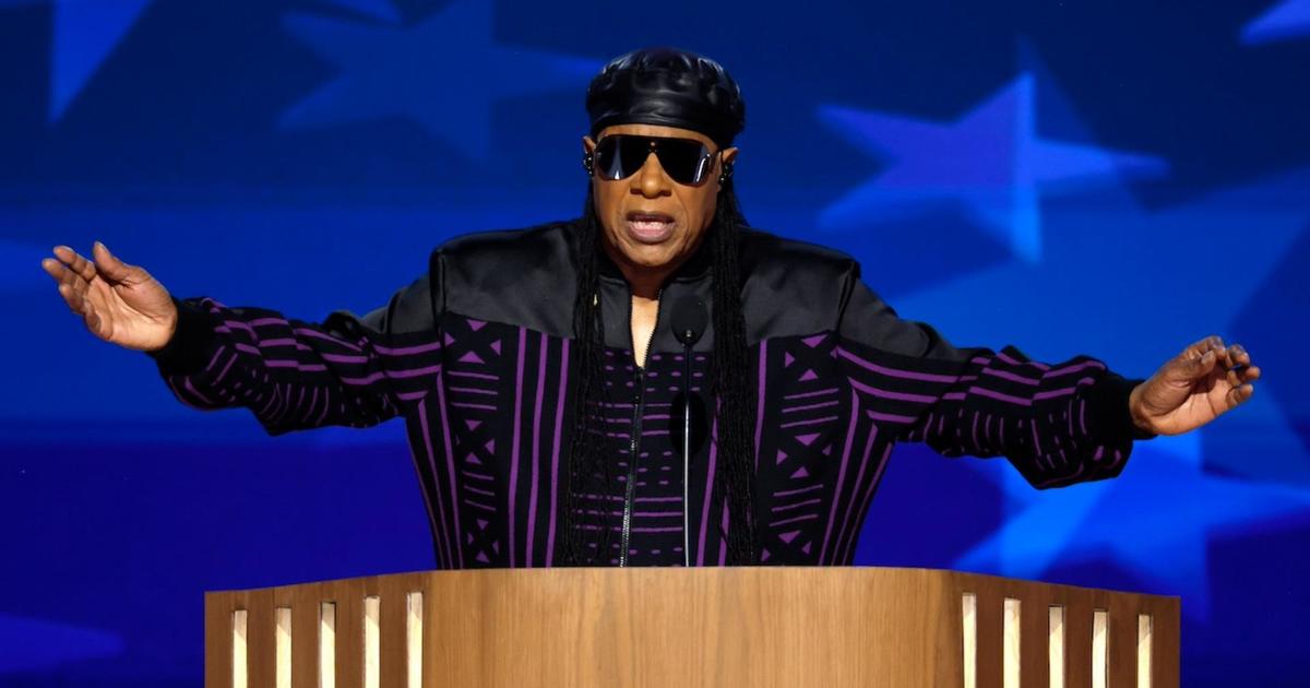 Stevie Wonder Performs at Democratic National Convention