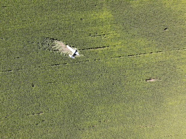 calhoun-county-cornfield.jpg 