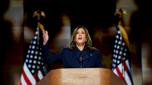 Vice President Kamala Harris speaks during the Democratic National Convention at the United Center in Chicago on Thursday, Aug. 22, 2024. 