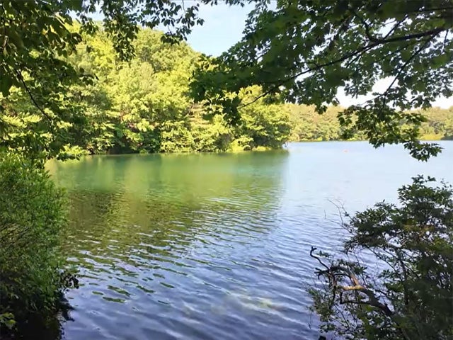 walden-pond-in-concord-mass-1280.jpg 