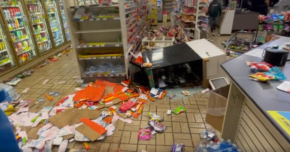 7-Eleven store in Los Angeles looted after street takeover by mob