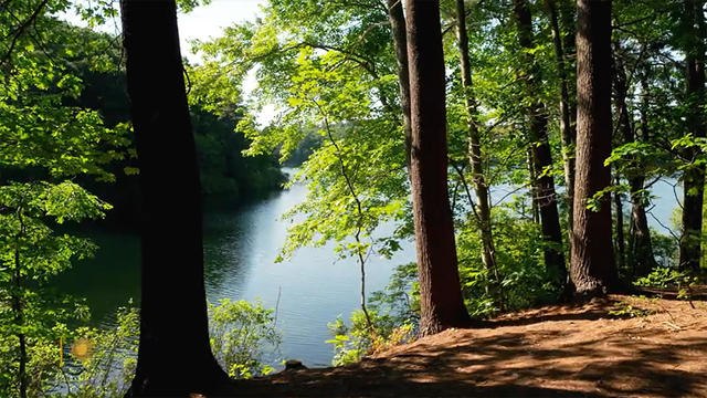 nature-walden-pond-1920.jpg 