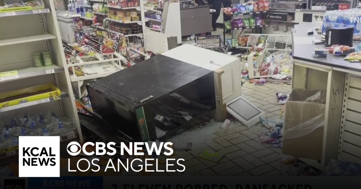 Yet another LA 7-Eleven store ransacked by mob from nearby street ...