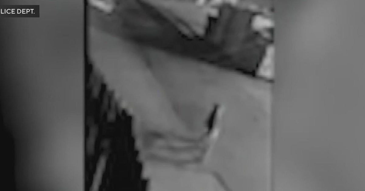 Vacaville families on edge after recent mountain lion sighting