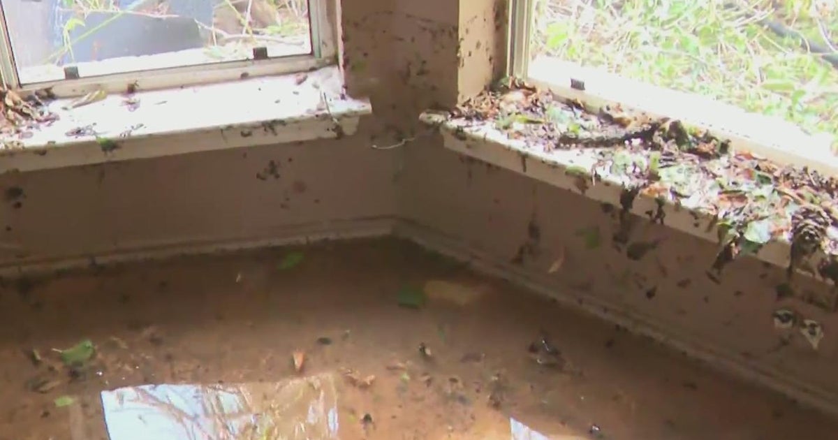 Water main break in Fort Worth damages homes - CBS Texas