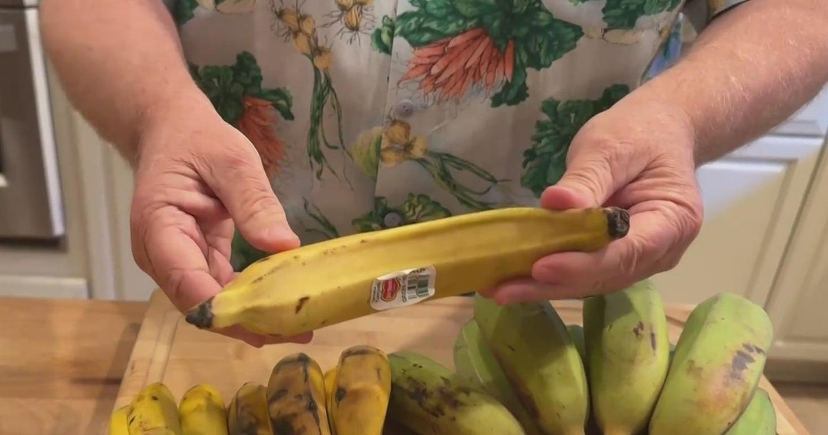 The different kinds of bananas | Your Produce Man
