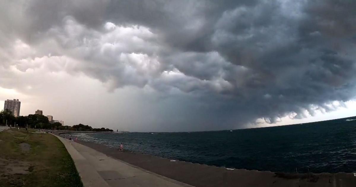 Storms bring heavy rain and strong winds, knock down trees and knock out power in the Chicago area