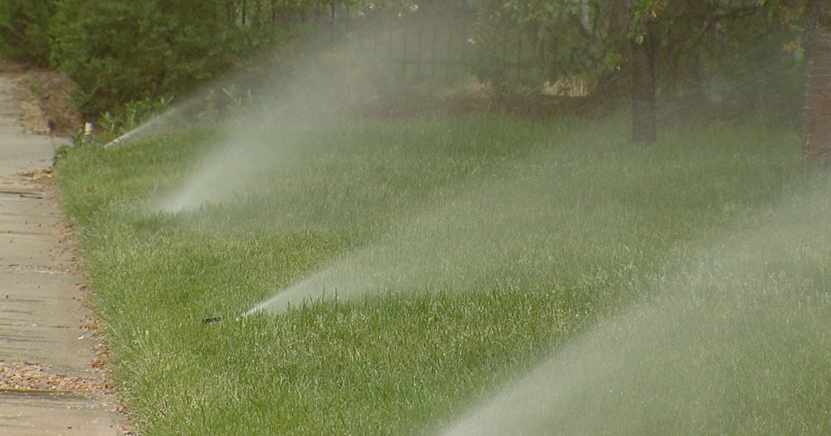 Wellington City Council postpones water shutoffs due to concerns about high water bills in Northern Colorado