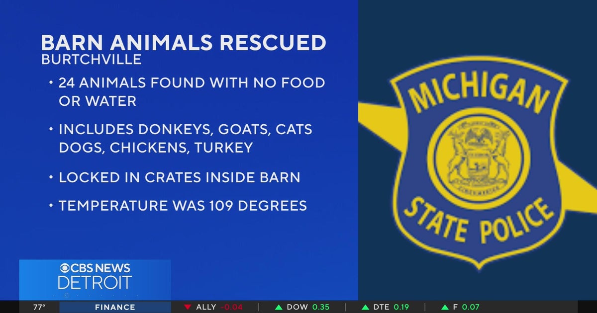 24 animals rescued from 109-degree Michigan barn without food, water ...