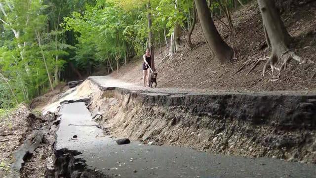 A woman walks a dog along a partially collapsed road. 