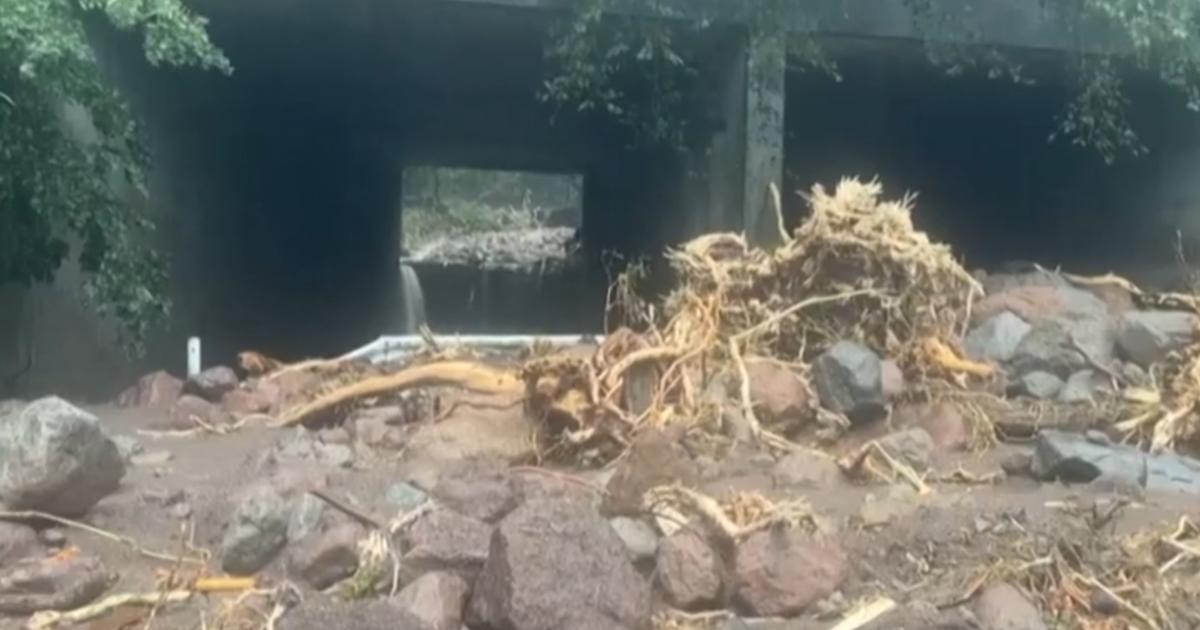 How Typhoon Shanshan flooded Japan