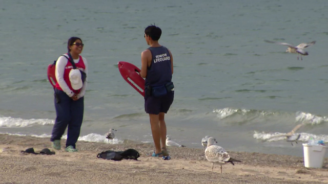 chicago-lifeguards.png 