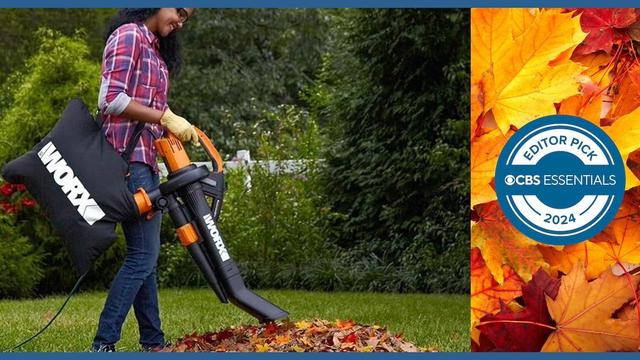 The 6 best leaf blowers for fall 2024 that blow away the competition 