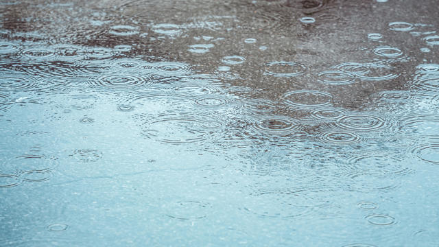 Rain drops on the surface of the water forming ripples 