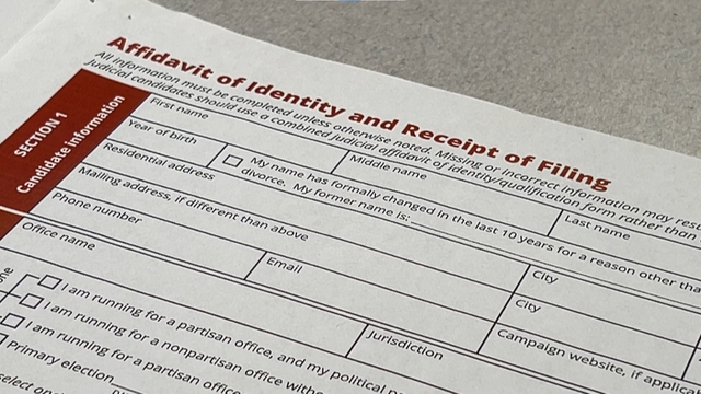 clarkston-ballot-1.png 