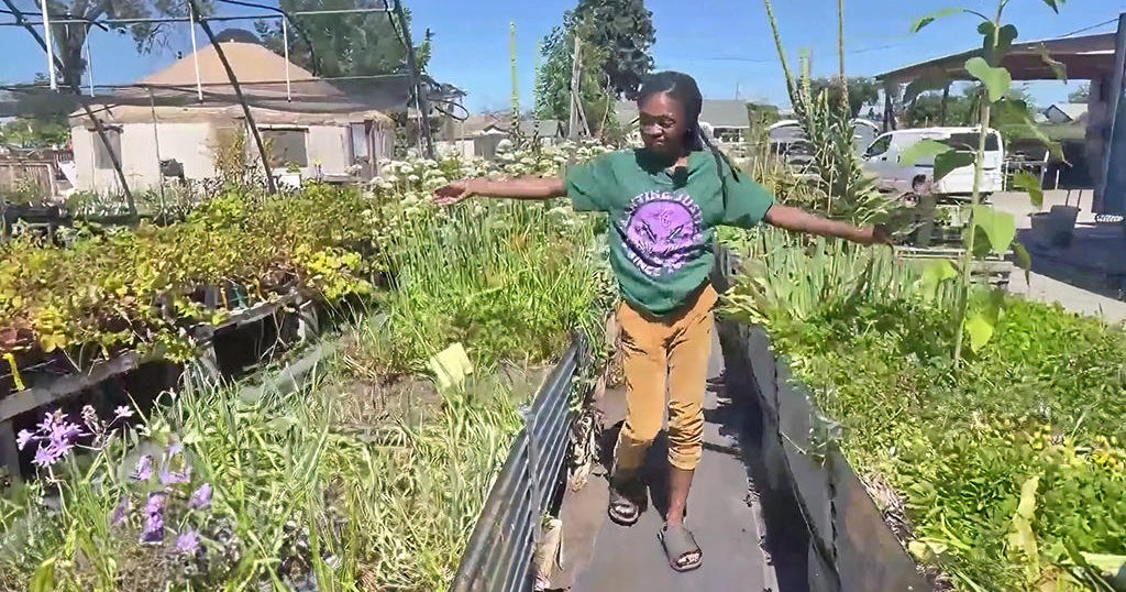 Abandoned nursery in East Bay to be transformed into fresh food multiplex