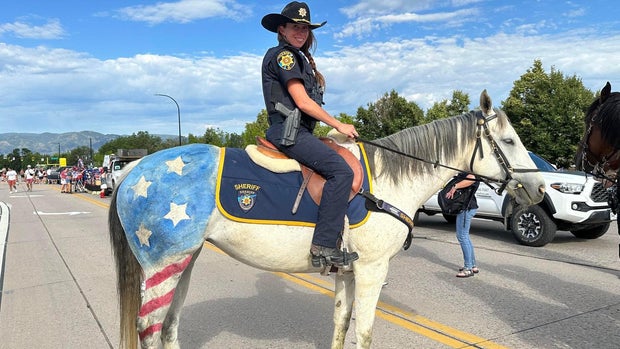 douglas-county-mounted-patrol-horse-death-blue-copy.jpg