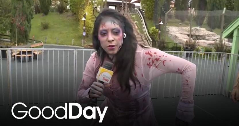 Ashley is at Six Flags getting into the Halloween Fright Fest spirit! - Good Day Sacramento