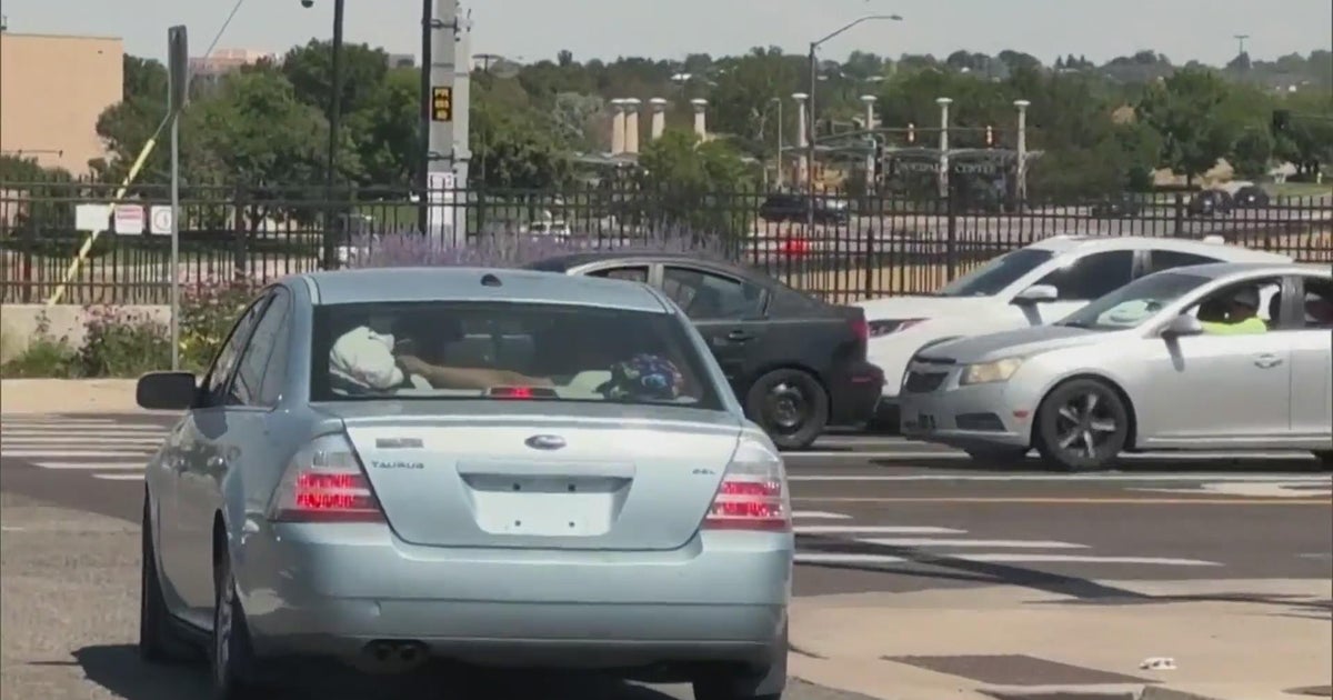 City of Aurora cracking down on expired registrations and missing license plates - CBS Colorado