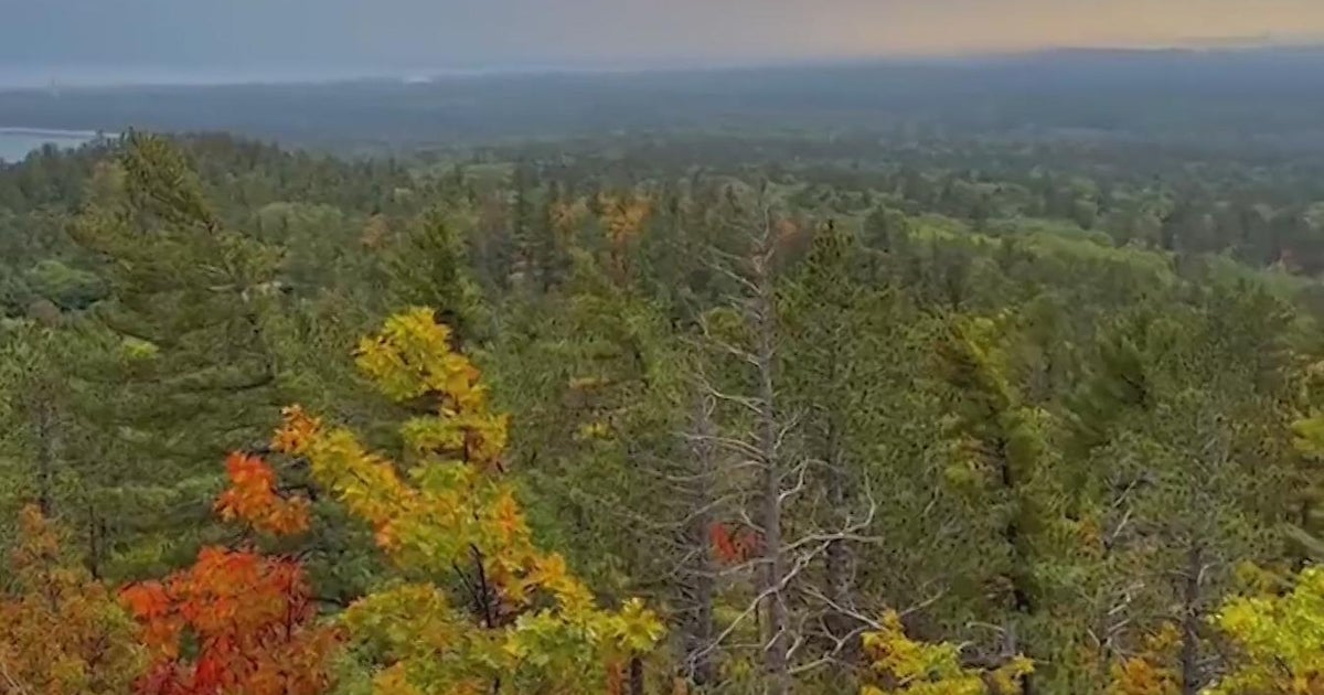 Tips for fall travel in Michigan and fall color tours - CBS Detroit