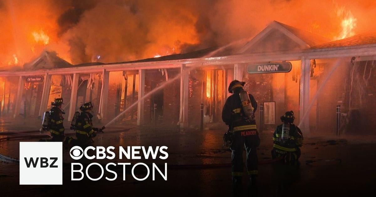 Flames rip through Massachusetts strip mall, destroying businesses