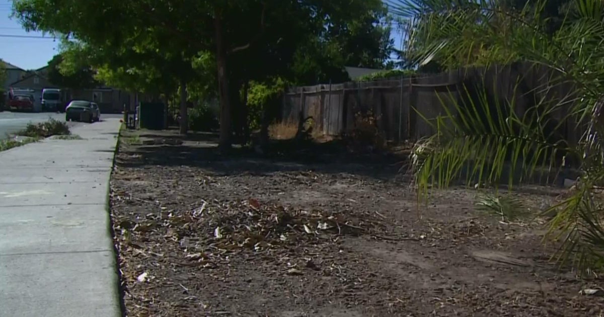 Vacant slivers of land near Sacramento homes being offered to homeowners