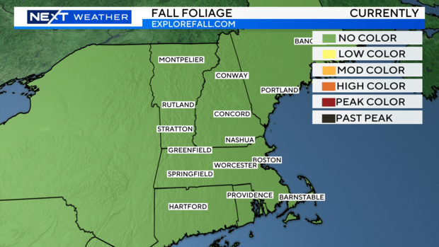 2024-current-fall-foliage-kml.png 