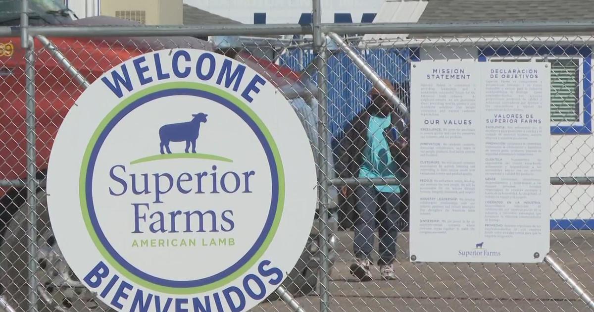 Denver voters will be asked whether to ban slaughterhouses in the city