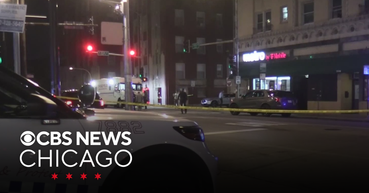 Police fire shots after reports of armed person on Chicago's South Side ...