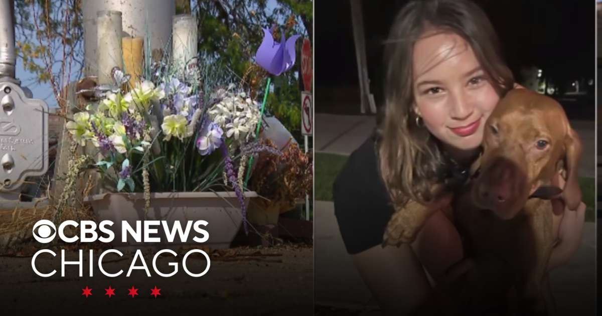 After Chicago area teen's death at railroad crossing, her family files ...