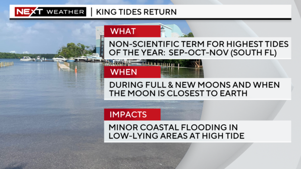 king-tides-explainer.png 