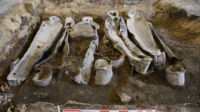 Centuries-old cold case mystery of poet buried in Notre Dame may be solved, researchers say