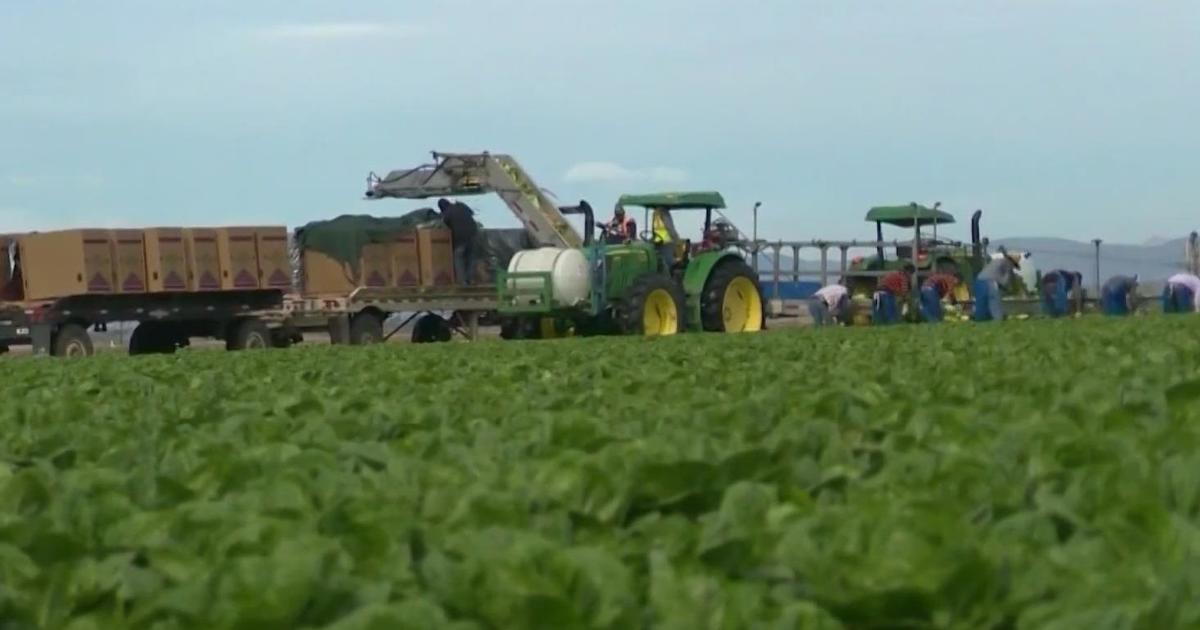 UC Davis research shows San Joaquin Valley residents are breathing in worrying levels of pesticides