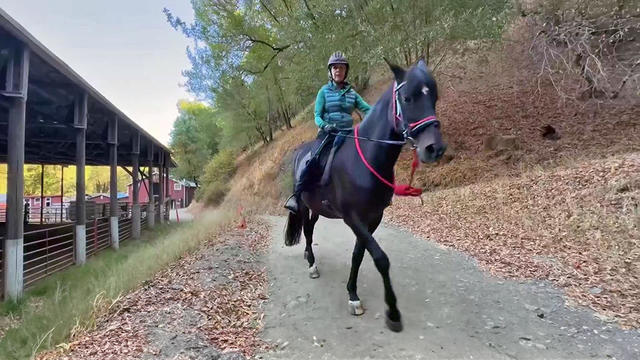 Equestrienne on Horseback 