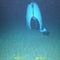 New details emerge in Titan sub implosion
