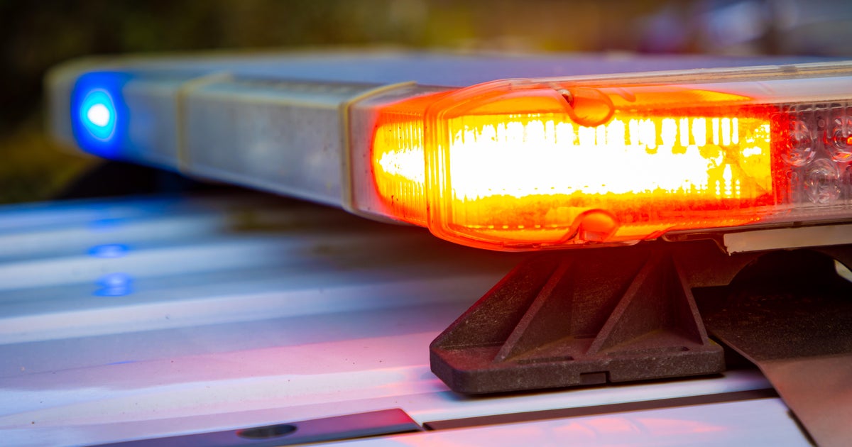 Florida Keys woman accused of drowning schnauzer puppy and asking neighbor if she could bury dead dog in his yard, police say Florida Keys woman accused of drowning schnauzer puppy and asking neighbor if she could bury dead dog in his yard, police say