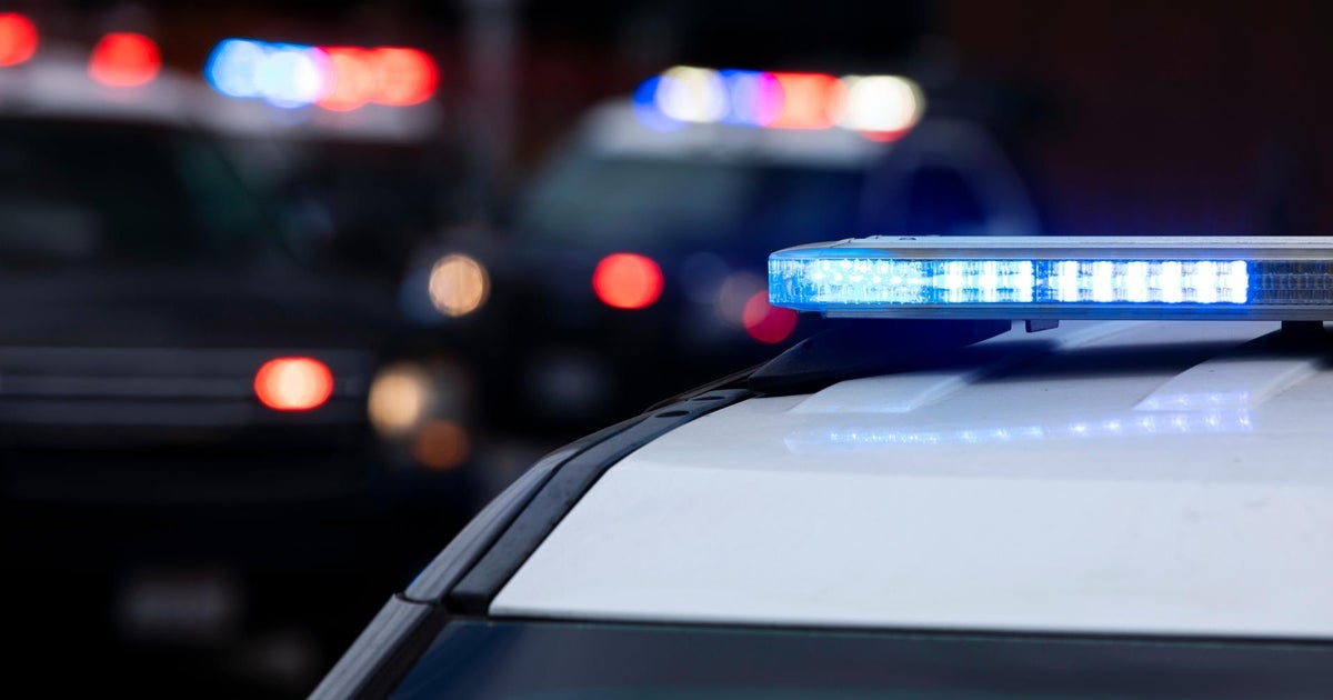 Elmhurst Liquor Store Burglary Suspects Apprehended
