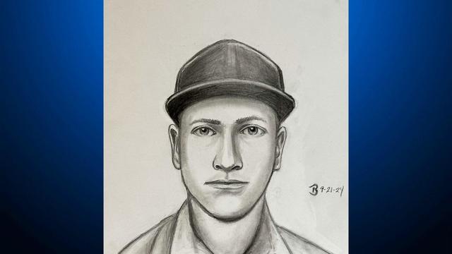 Los Altos Suspect Sketch Highway 280 Foothill Expressway Attack 