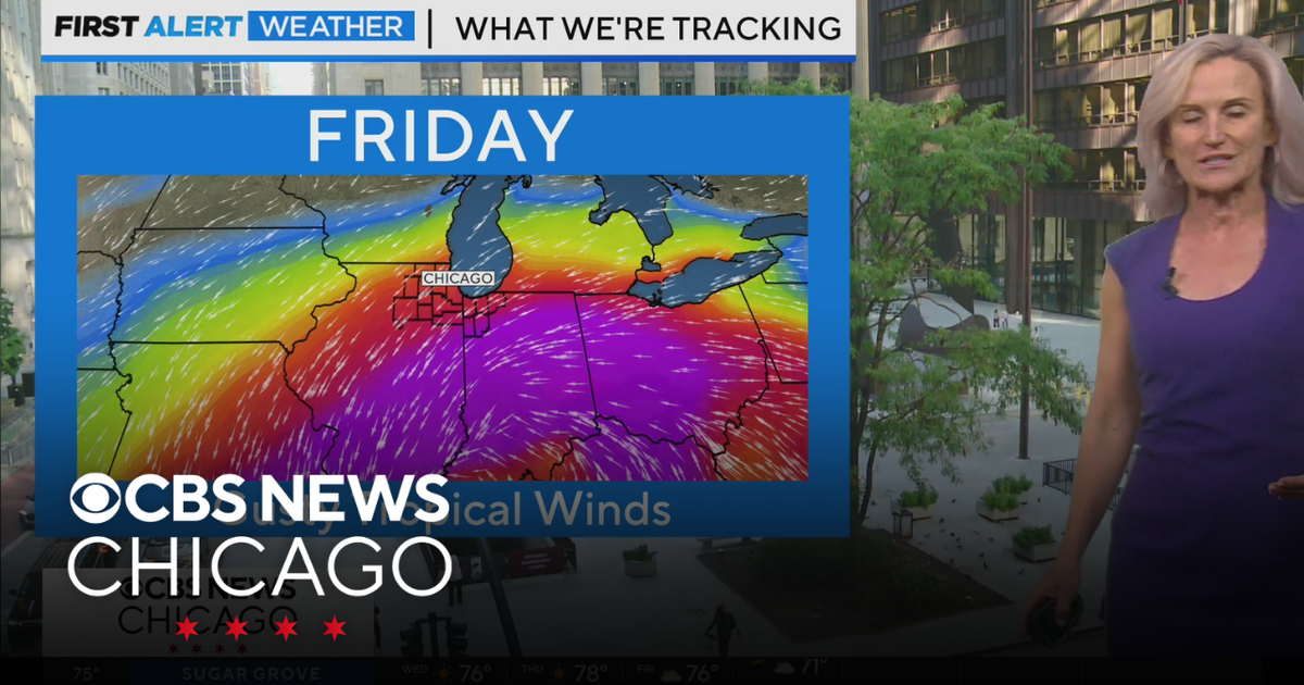 Mostly sunny Thursday, gusty winds coming Friday in Chicago - CBS Chicago