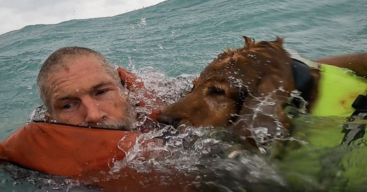 Man and dog rescued after Hurricane Helene disables sailboat, Coast Guard video shows