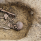 50 "exceptionally well-preserved" Viking skeletons unearthed in Denmark