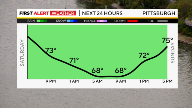 next-24-hours-temp-line-weather-bars-camera-1.png 