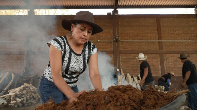 mezcal-video-vega-3229149-640x360.jpg 