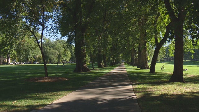 colorado-state-university-generic-campus.jpg 