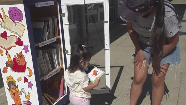 yuba-city-little-library.jpg 