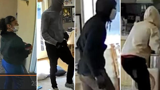 Los Altos burglary suspects 